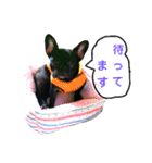 フレブルブリンドル（個別スタンプ：32）