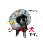 小雪さん。写真シリーズ①（個別スタンプ：2）