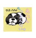 小雪さん。イラスト＆写真シリーズ①（個別スタンプ：1）