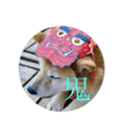 かわいいはなちゃん！（個別スタンプ：4）