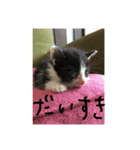 I❤︎ひめ（個別スタンプ：2）