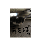 I❤︎ひめ（個別スタンプ：3）