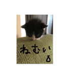 I❤︎ひめ（個別スタンプ：4）