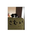 I❤︎ひめ（個別スタンプ：5）