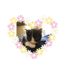 I❤︎ひめ（個別スタンプ：6）