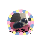 I❤︎ひめ（個別スタンプ：7）