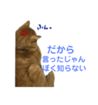 にゃんしーの仲間たち2（個別スタンプ：8）