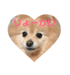さくらちゃーーん（個別スタンプ：1）