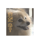 さくらちゃーーん（個別スタンプ：2）