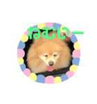 さくらちゃーーん（個別スタンプ：4）