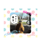 ゆず＆あんず1（個別スタンプ：2）