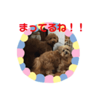 ゆず＆あんず1（個別スタンプ：10）