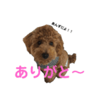 ゆず＆あんず1（個別スタンプ：12）