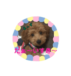 ゆず＆あんず1（個別スタンプ：16）