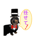 Lamps stamp 2（個別スタンプ：12）
