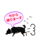 Lamps stamp 2（個別スタンプ：13）