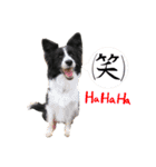 Lamps stamp 2（個別スタンプ：14）
