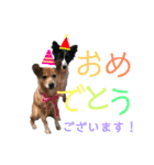 Lamps stamp 2（個別スタンプ：22）