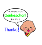 小太朗のドイツ語でひと言（個別スタンプ：4）