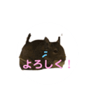 デグーのふく 日常スタンプ（個別スタンプ：7）