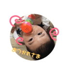 そうたSTAMP！！（個別スタンプ：11）