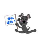 黒シュナチョコりん（個別スタンプ：6）