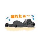 黒シュナチョコりん（個別スタンプ：13）