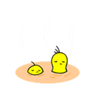 不思議なひよこたち（個別スタンプ：16）