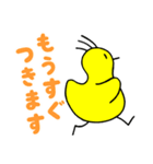 不思議なひよこたち（個別スタンプ：25）