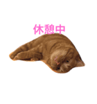 販売員の一日（個別スタンプ：7）