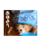 ロンくんの日常（個別スタンプ：8）
