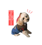 ロンくんの日常（個別スタンプ：11）