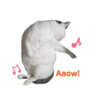 ももななときどきすず（個別スタンプ：4）