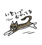 猫カツヲです（個別スタンプ：3）