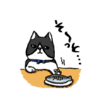 猫カツヲです（個別スタンプ：9）