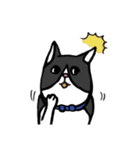 猫カツヲです（個別スタンプ：10）
