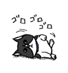 猫カツヲです（個別スタンプ：11）