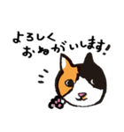 猫カツヲです（個別スタンプ：16）