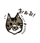 猫カツヲです（個別スタンプ：17）