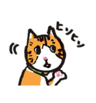 猫カツヲです（個別スタンプ：18）