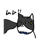 猫カツヲです（個別スタンプ：19）
