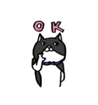 猫カツヲです（個別スタンプ：20）