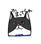 猫カツヲです（個別スタンプ：22）