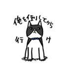 猫カツヲです（個別スタンプ：26）