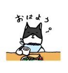 猫カツヲです（個別スタンプ：28）