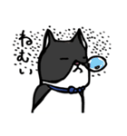 猫カツヲです（個別スタンプ：29）