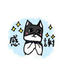 猫カツヲです（個別スタンプ：30）