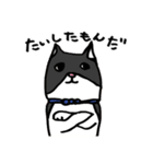 猫カツヲです（個別スタンプ：32）