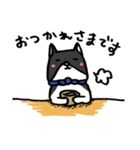 猫カツヲです（個別スタンプ：34）