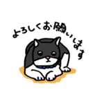 猫カツヲです（個別スタンプ：36）